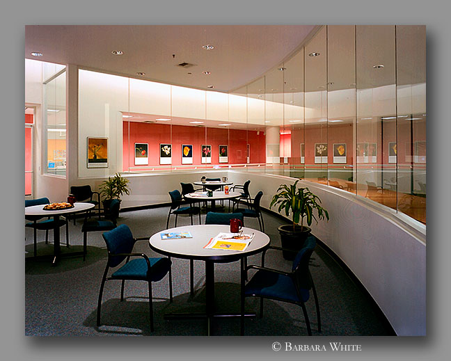 commercial interior